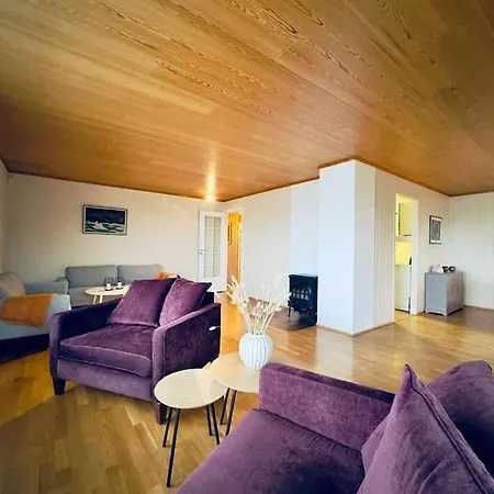 The Yellow House 度假居 特罗姆瑟